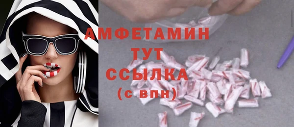 амф Семилуки