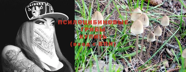 мет Володарск